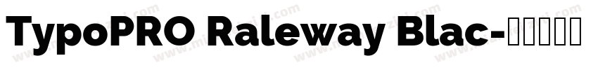 TypoPRO Raleway Blac字体转换